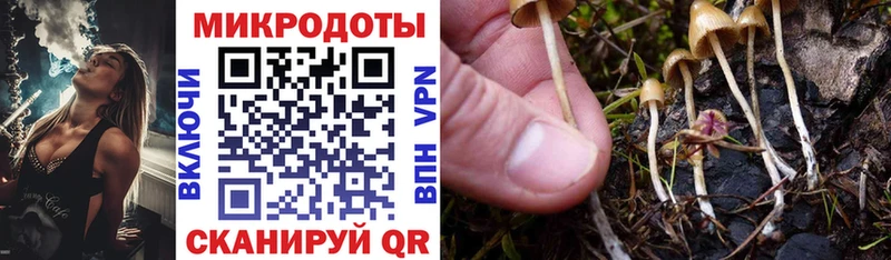 МЕГА маркетплейс  Устюжна  Галлюциногенные грибы GOLDEN TEACHER 
